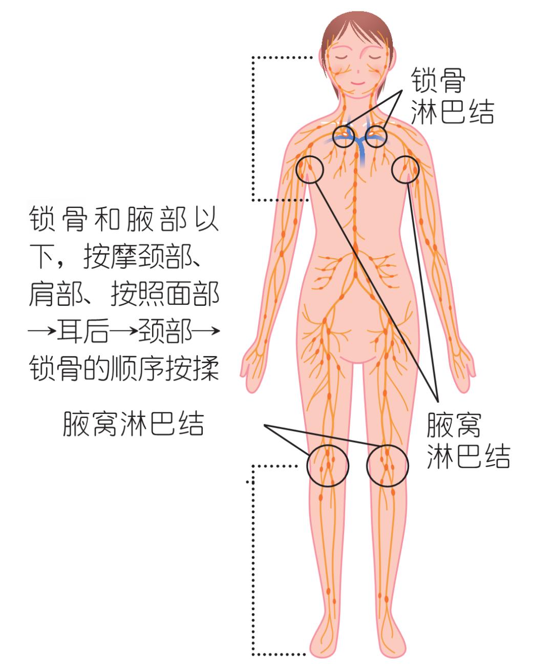 金莎过度按摩导致筋膜黏连，塑造小脸的按摩手法