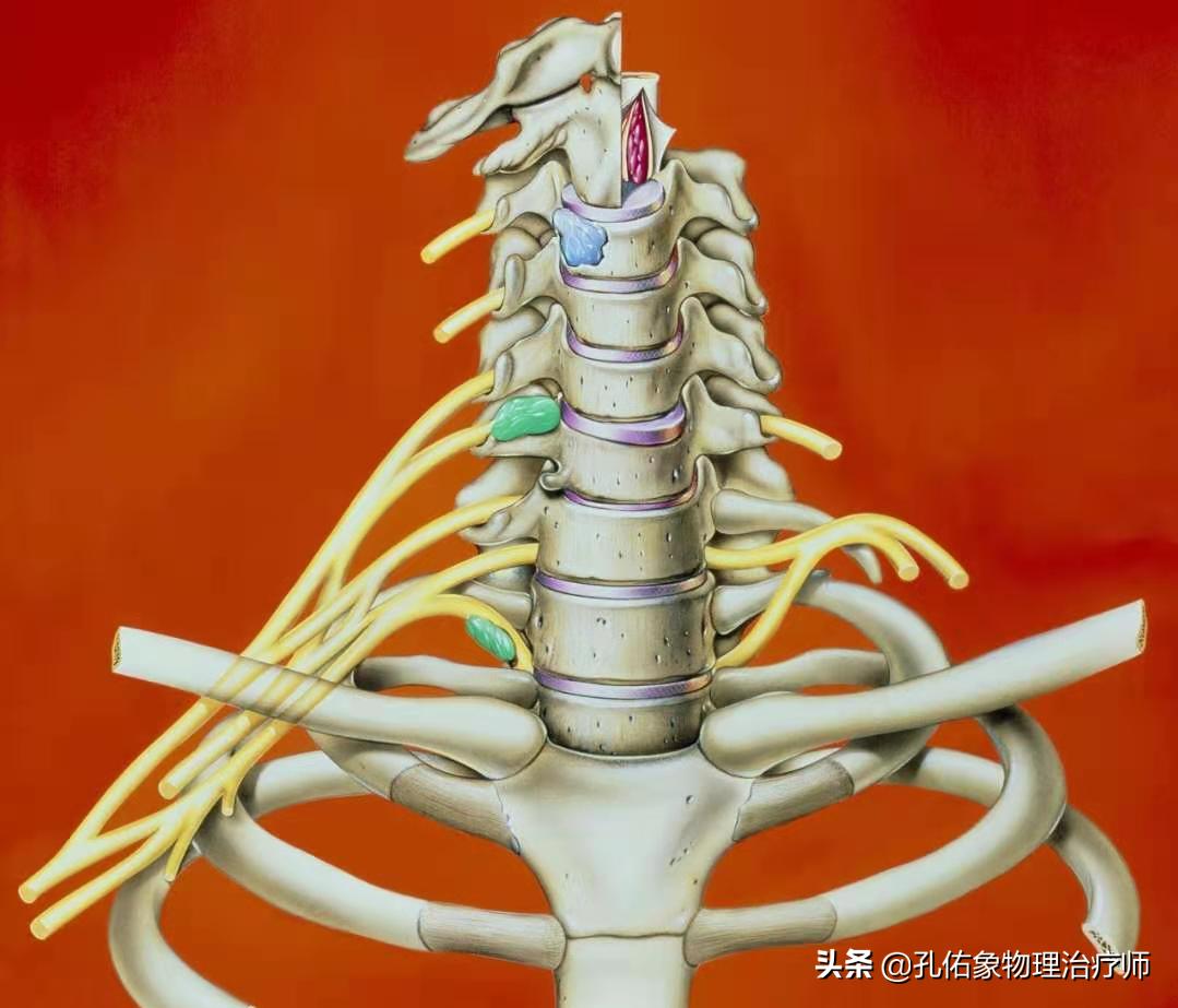 肩膀疼痛什么原因中医辨证治疗,整天肩膀酸痛怎么检查病因