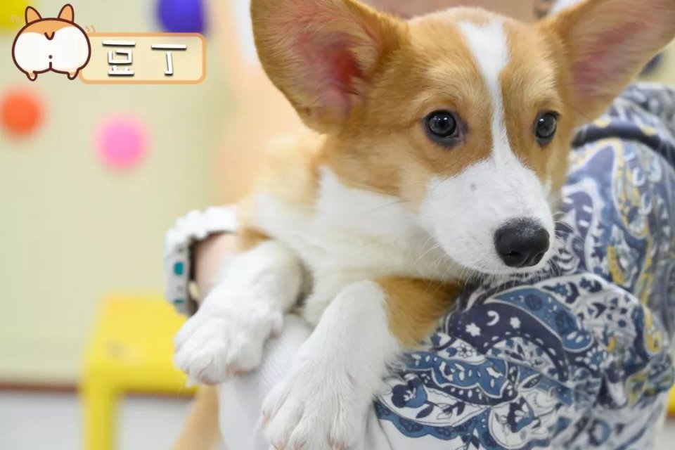 专门摸屁股的店，任摸