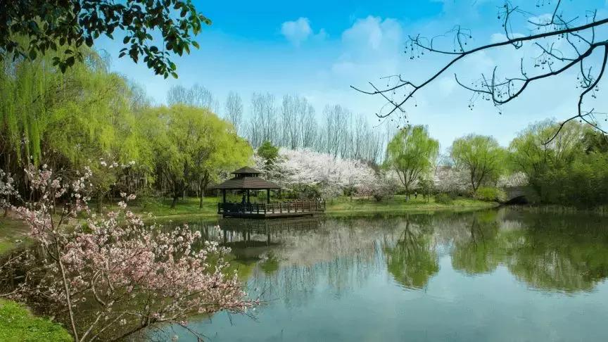 上海十佳乡村旅游优选地，第二批市民休闲好去处，侬去过几处？