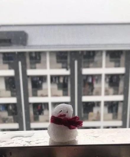 公园回应大妈路边卖雪,大妈卖雪5元一盆