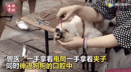 “割声带、截肢、电击，当爱变成我的噩梦”