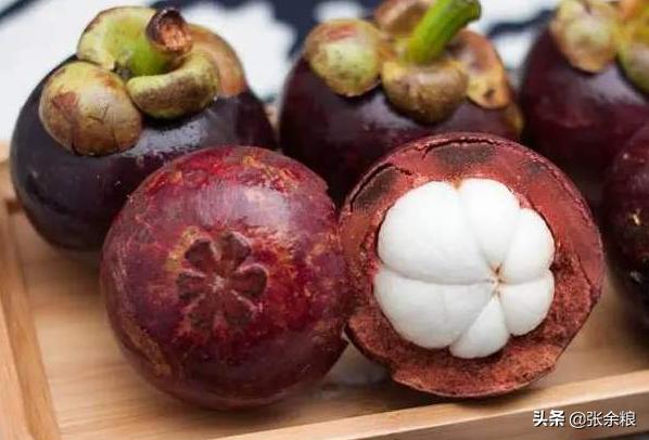 山竹啥时候结果啥时候采摘,山竹好果率