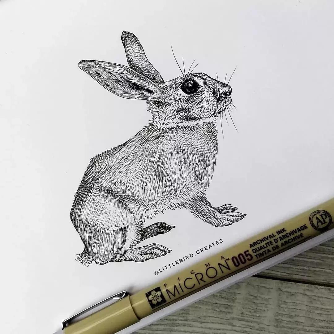 这一波手绘太给力了,绝对让你练完不厉害都难