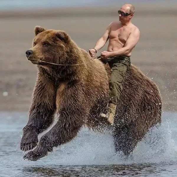 普京的铁腕反腐,2019年度普京写真日历