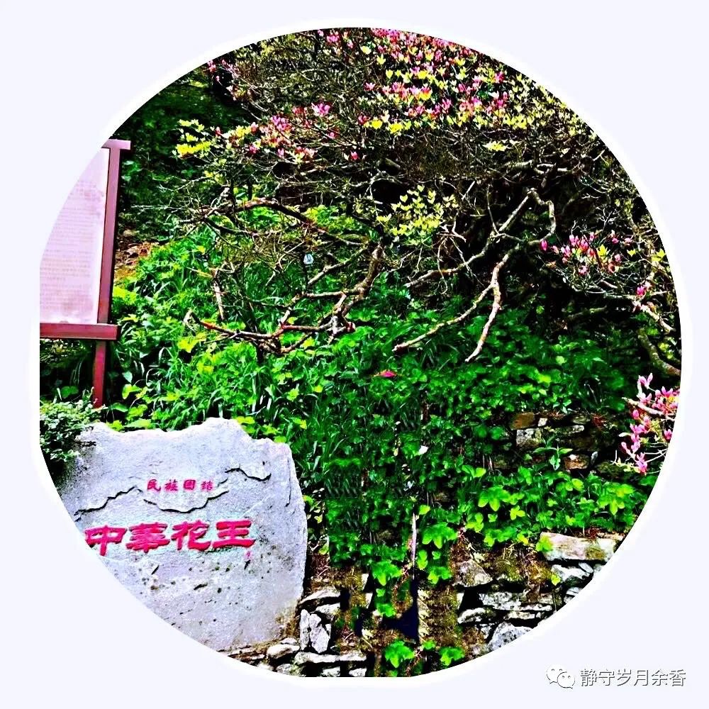 情满龟峰·诗涌花海