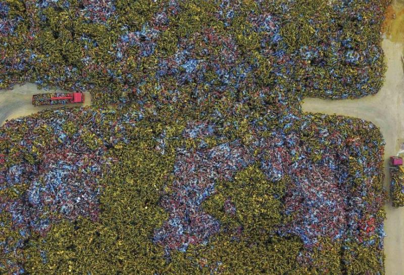 亨骑究竟落魄到何种地步？靠卖电瓶补发员工工资