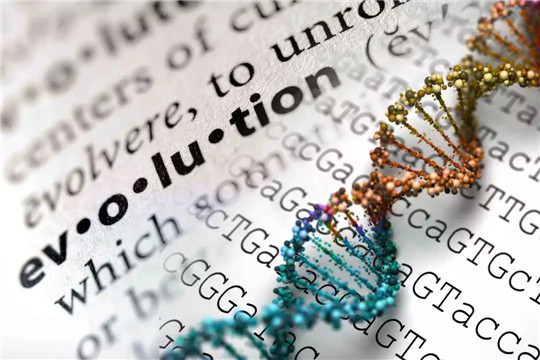 中国汽车发展排行榜,中国汽车实力排行榜