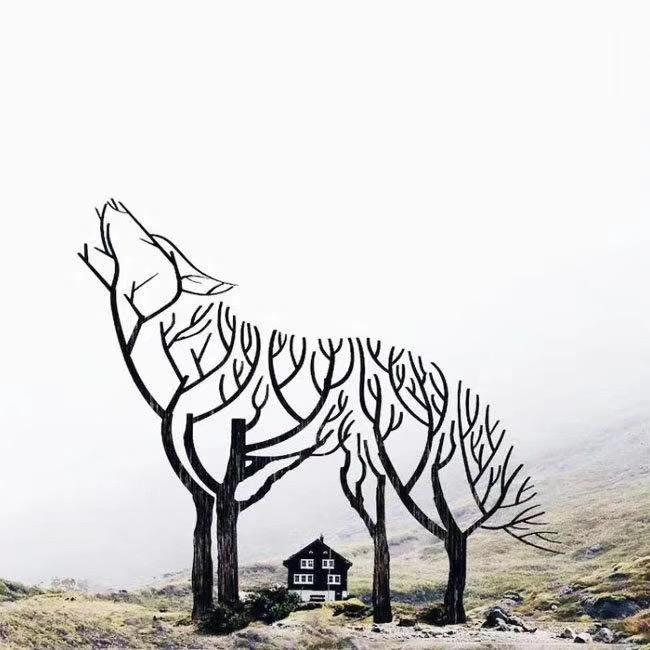 什么是研究性学习主题,什么是研究性学习活动