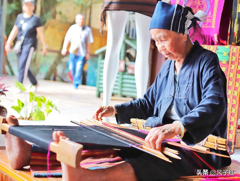 三亚这个用一难吃果子命名的地方，见血封喉皮做衣服，妇女都纹面