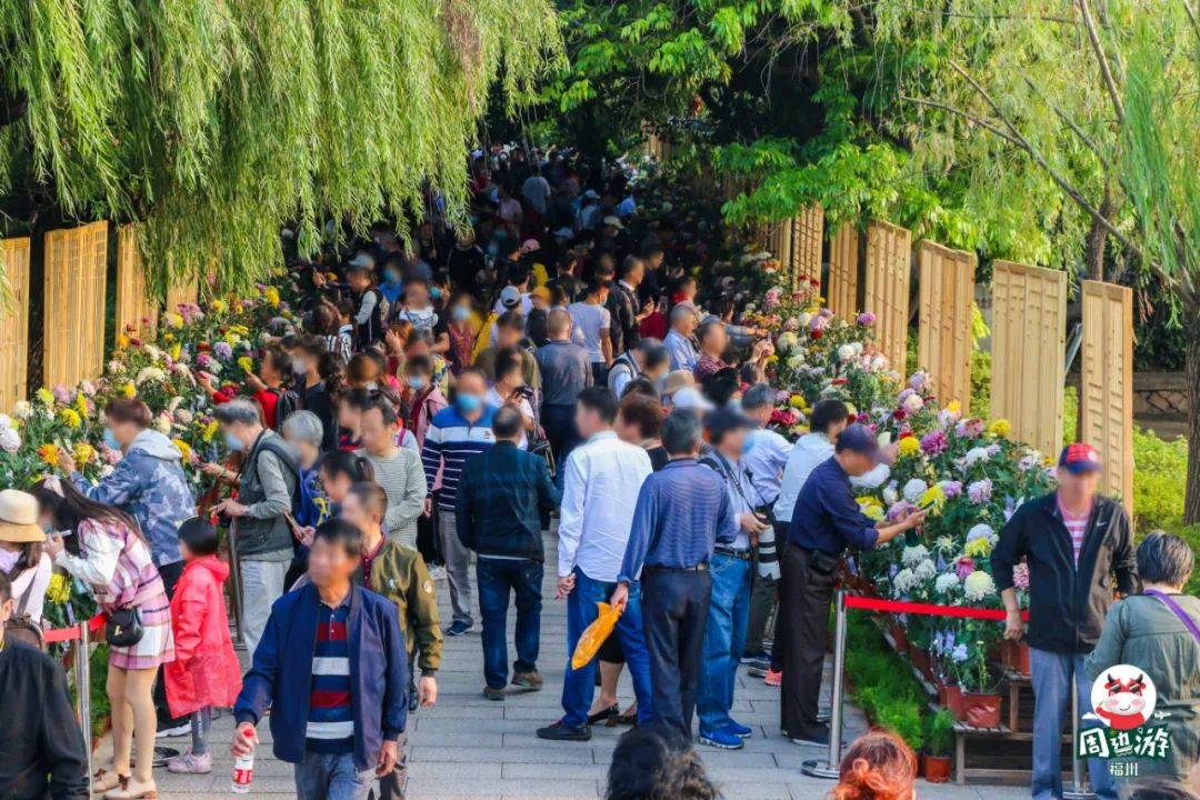 福州菊花展21年还有吗,福州西湖菊花展人山人海
