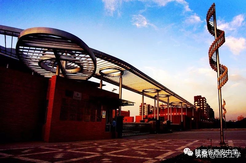 体育特长生西安,西安市体育特长生招生计划2024