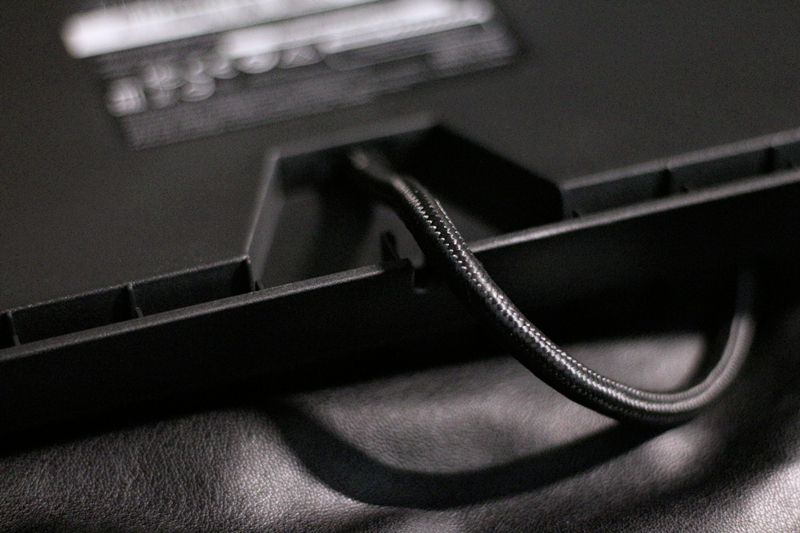 黑寡妇蜘蛛幻彩版和标准版,黑寡妇蜘蛛幻彩版灯光