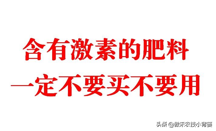 肥料施下多久植物才开始吸收呢,肥料施下去多久能吸收