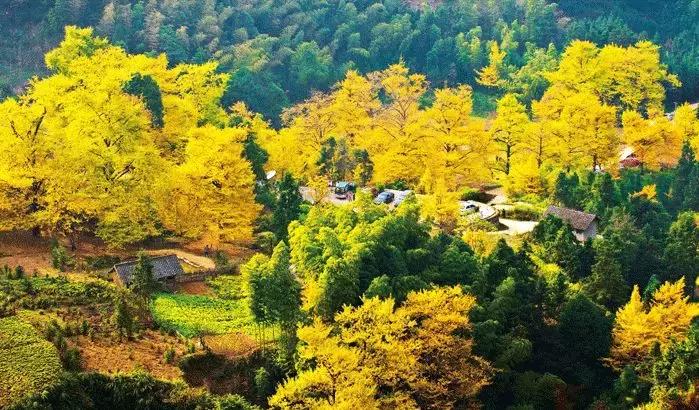 中国天然氧吧景区,我省4地获中国天然氧吧称号