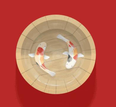 寻找幸运锦鲤活动在哪,寻找锦鲤