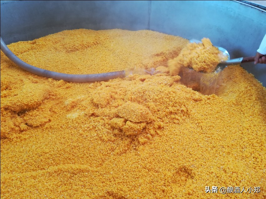 米酒发酵温度不够怎么办,米酒温度低能发酵吗