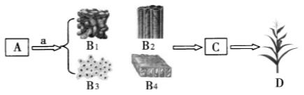 临沂七年级上册生物期末各区试卷,临沂市河东区七年级上册生物试卷