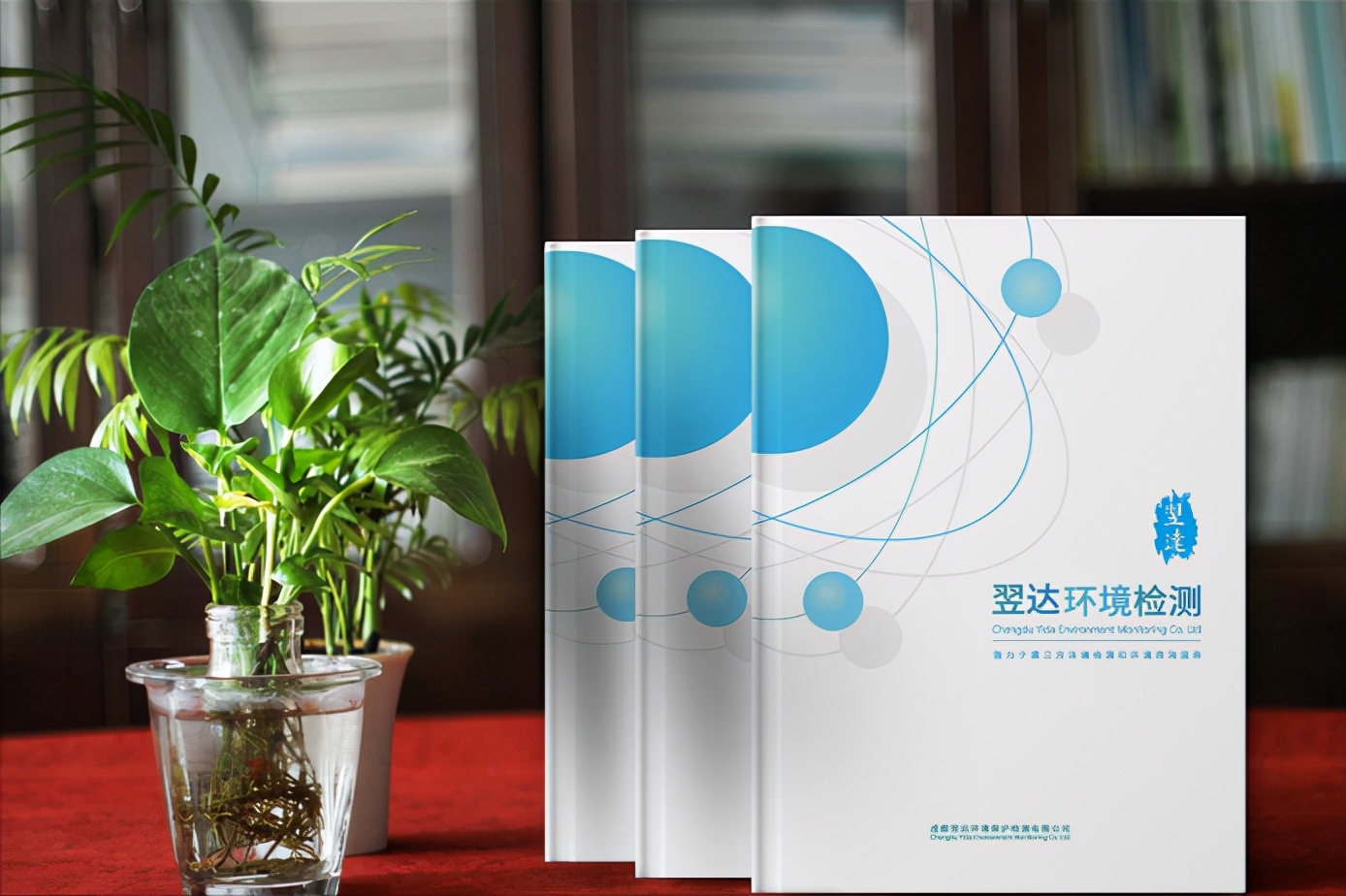 企业宣传宣传册设计,公司企业宣传册设计