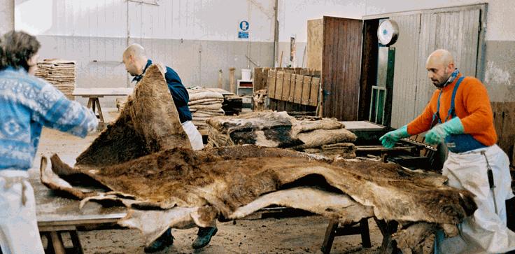 你的鞋柜里有哪些鞋,你的鞋柜里有多少双鞋