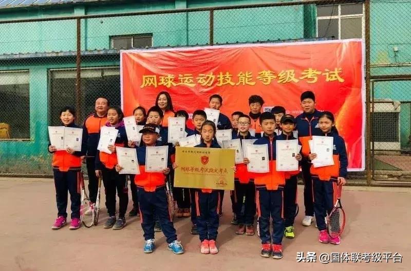 怎么进行网球水平等级考试,网球等级考怎么报名