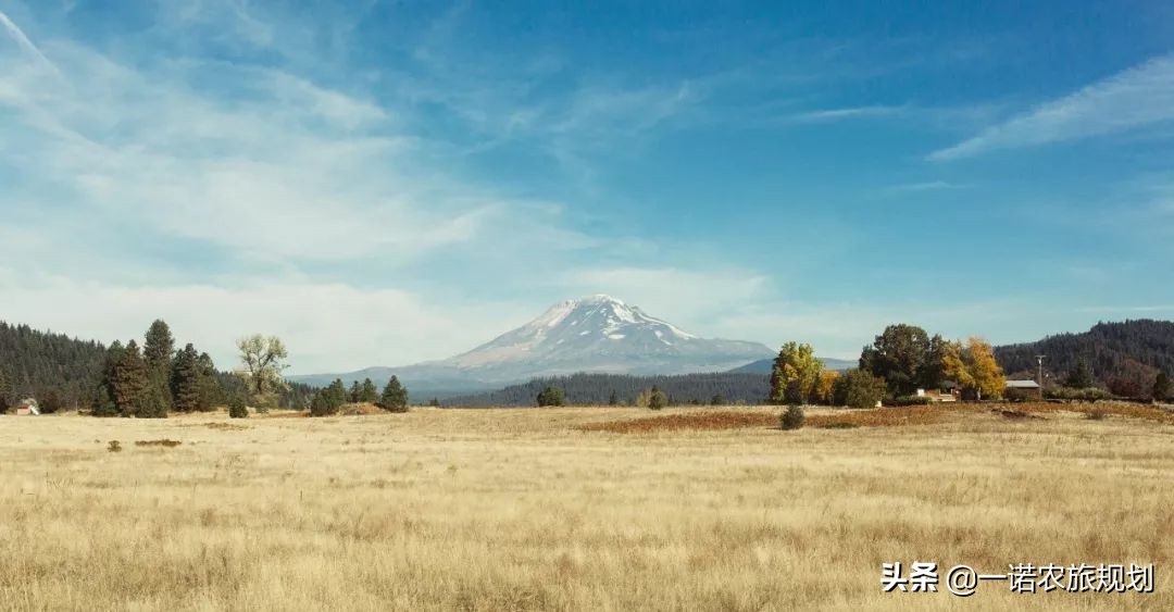 乡村特色产业发展未来展望