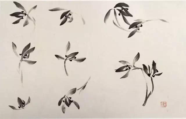 兰花绘画技法教程视频,泰国兰花绘画技法