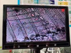 对虾黄鳃黑鳃是什么原因,对虾黄鳃防治