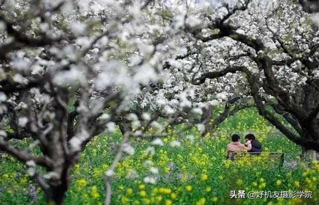 相机如何设置参数拍摄光影的技巧,佳能相机拍摄人像参数调整教程