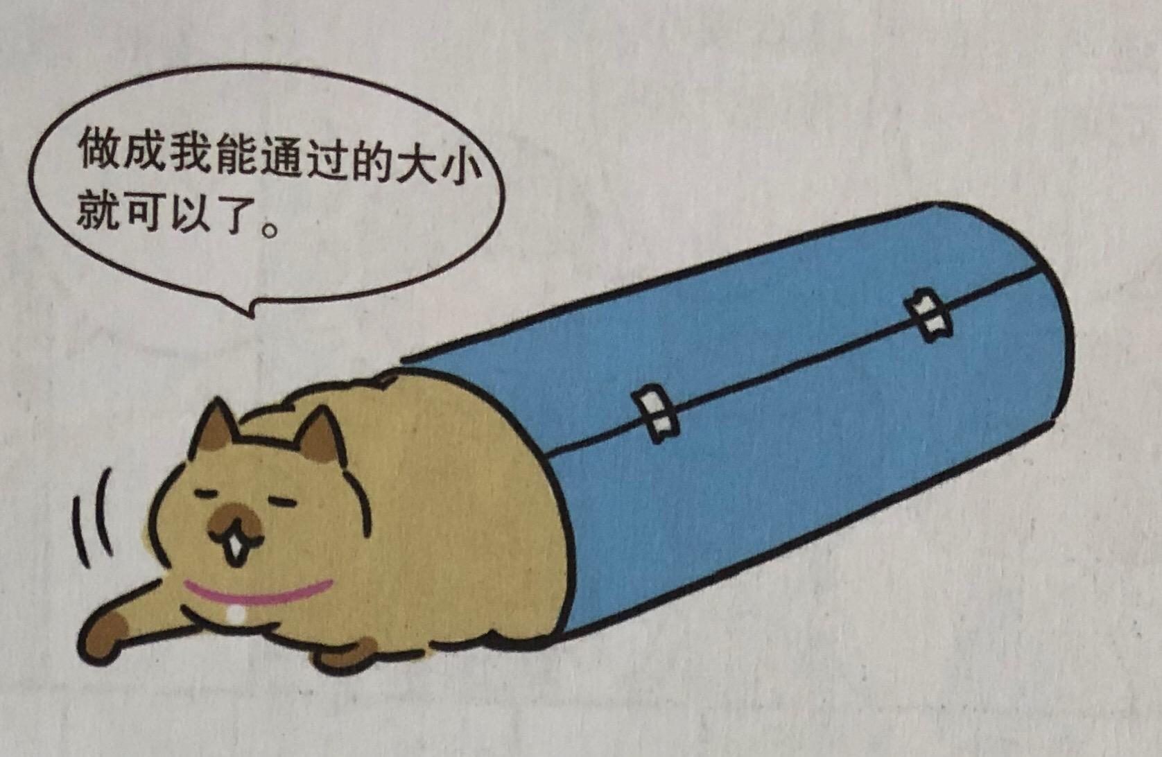 猫咪的玩具怎么动手操作呢,日常生活中该如何做猫咪的玩具