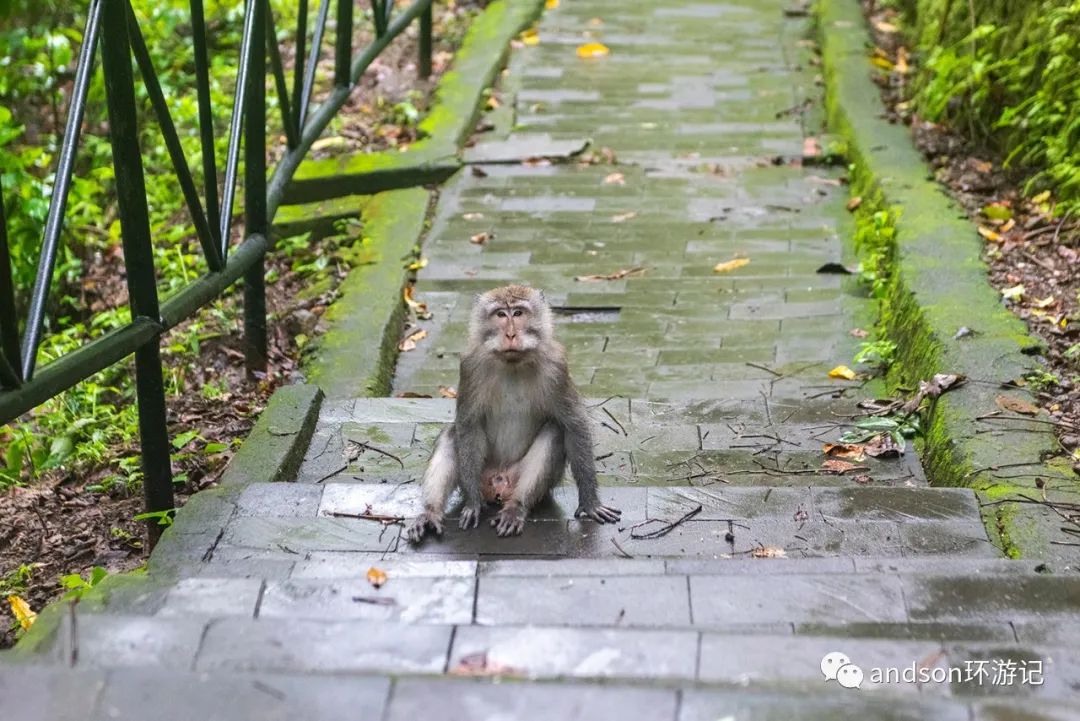 印尼你好怎么发音,印尼歌曲你好傻