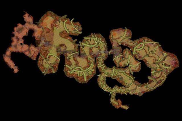 魔兽世界怀旧服五人副本任务,魔兽怀旧服部落副本任务详细攻略