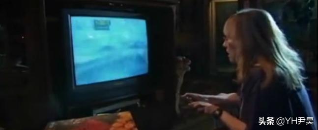 发生在美国的罕见事件，大白鲨遭遇神秘生物捕杀，真相颠覆认知