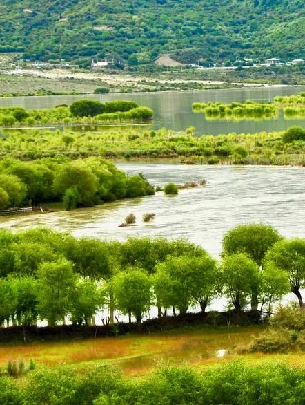 最美拉林公路自驾,高速路上一不小心误入仙境