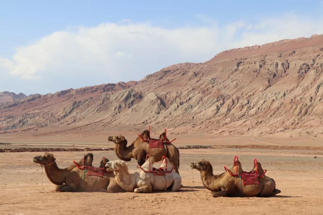 等疫情结束了和我一起去旅游吧,等疫情结束了我就带你去玩