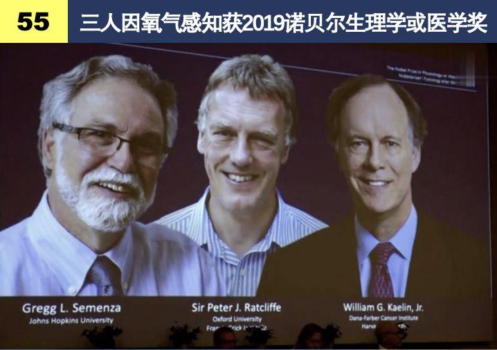 2019诺贝尔生理/医学奖：优化细胞氧气关系，打开人类长寿之门