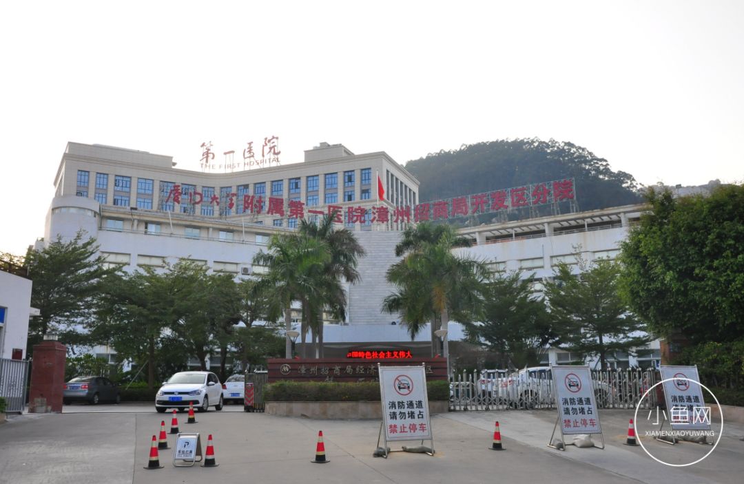 鬼城or未来可期？我们走进漳州港，发现“接盘侠”的各种悲喜交加