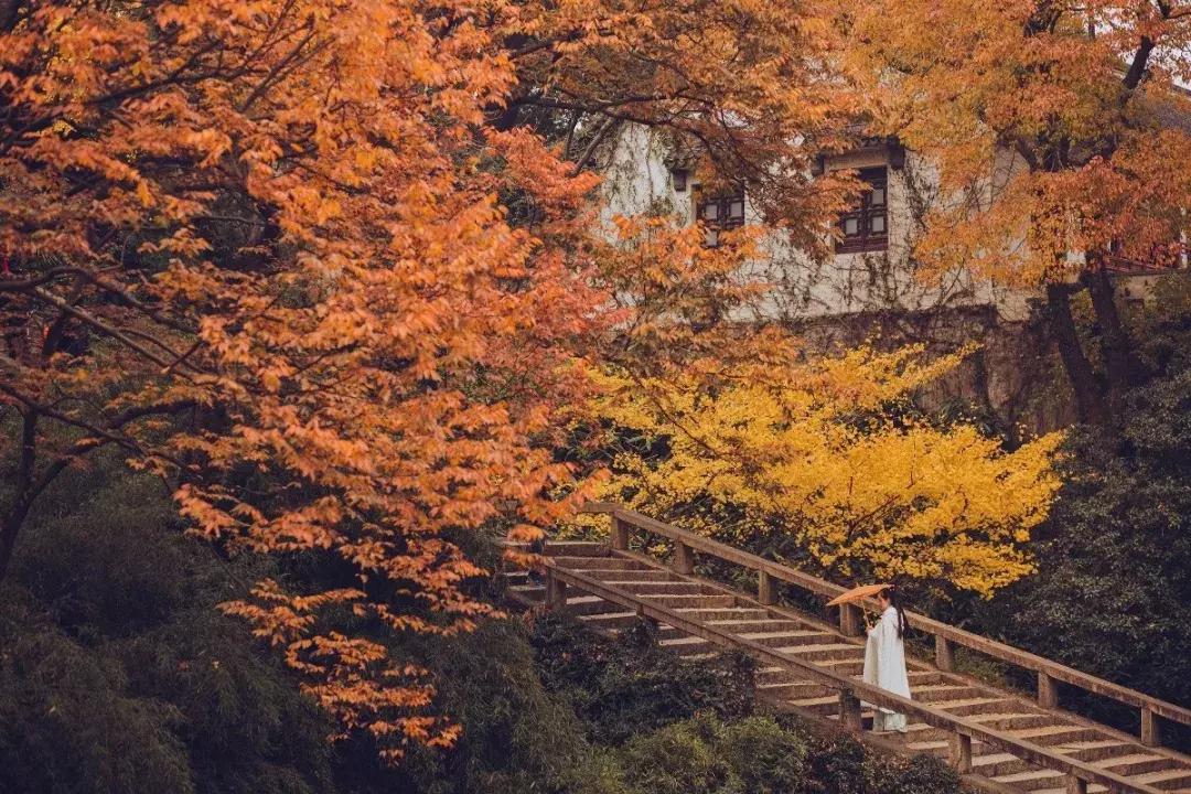 纳兰容若经典诗词20首,纳兰诗词60句深情而绝美