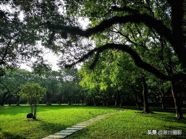 中国最美丽的校园照片,中国最美丽的校园中山大学南校区