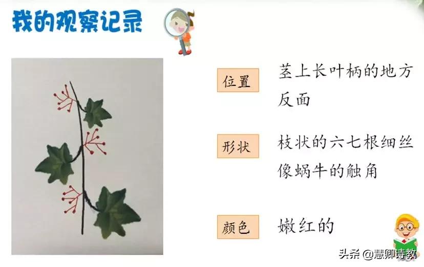 学霸笔记四年级知识点,四上语文第一单元知识点