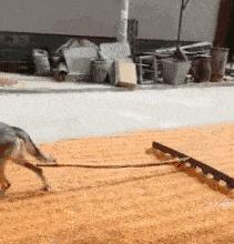 开心图文高清图片,开心图文原创