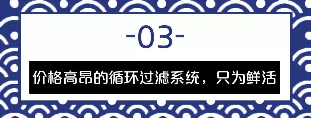 厦门90海里蒸汽海鲜自助,厦门岛内蒸汽海鲜自助