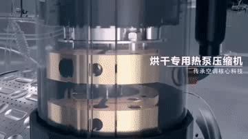 董明珠好美,快看财经董明珠