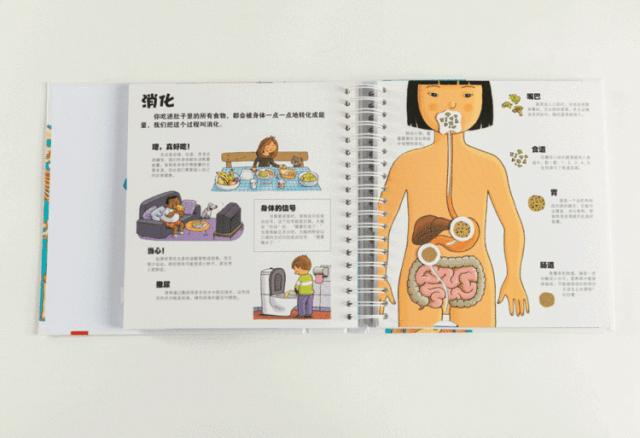 小孩问大人身上为啥长毛,家有毛孩子都怎么解决掉毛问题