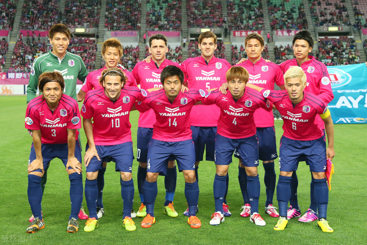 绿茵场上的惊艳,绿茵场上的倩影