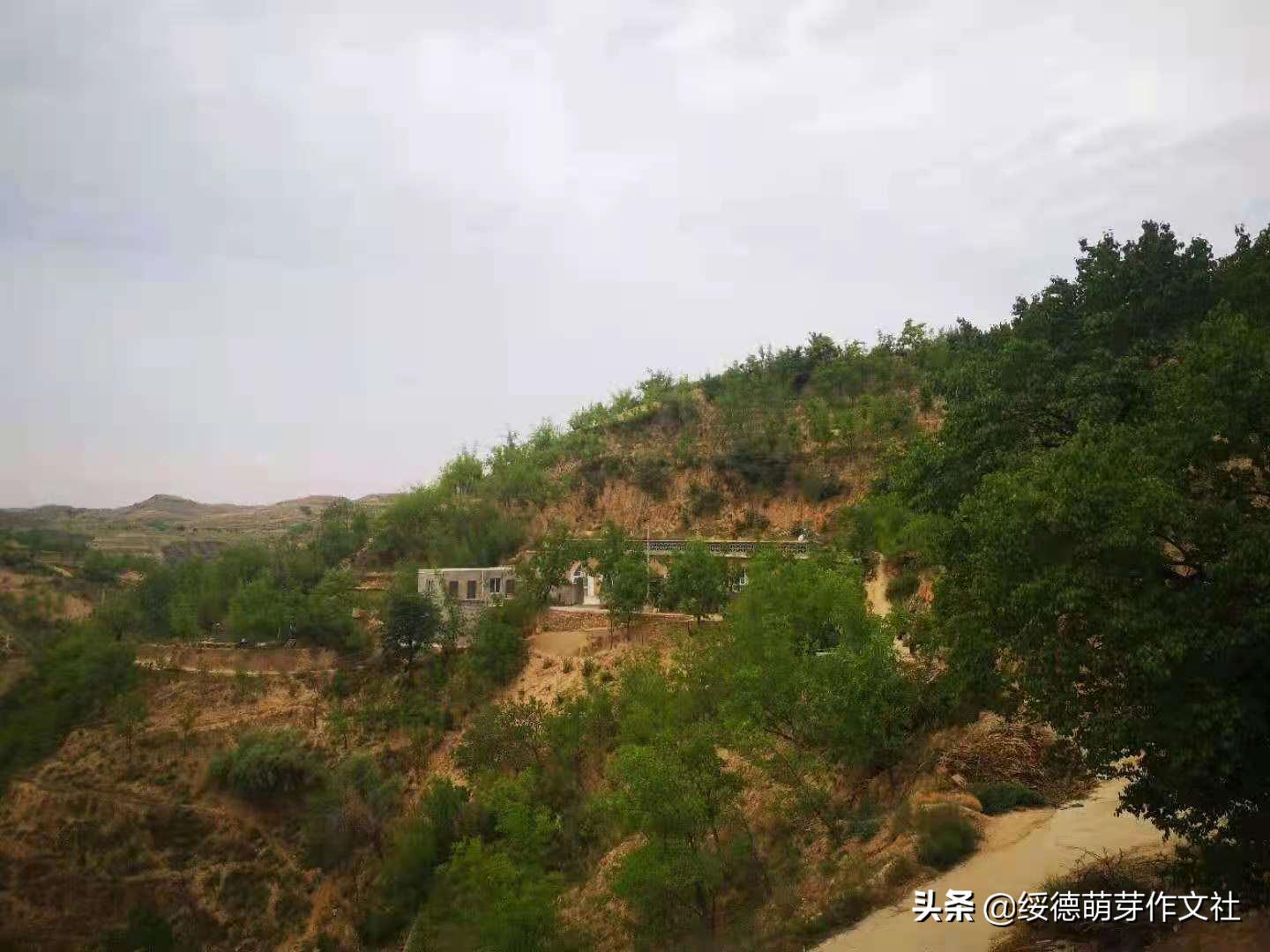 风雨兼程中的郝家桥