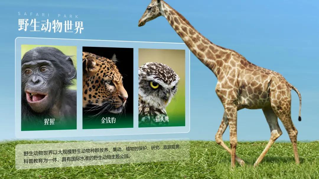 ppt排版设计技巧ppt制作培训教程,ppt优秀的图文排版案例