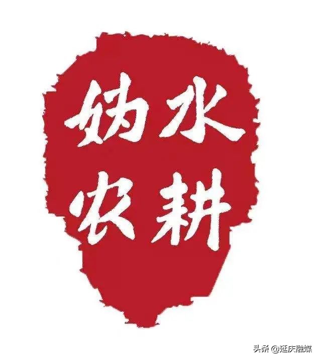 政协委员关于农业的提案,政协聚焦生态拿出更多提案建议