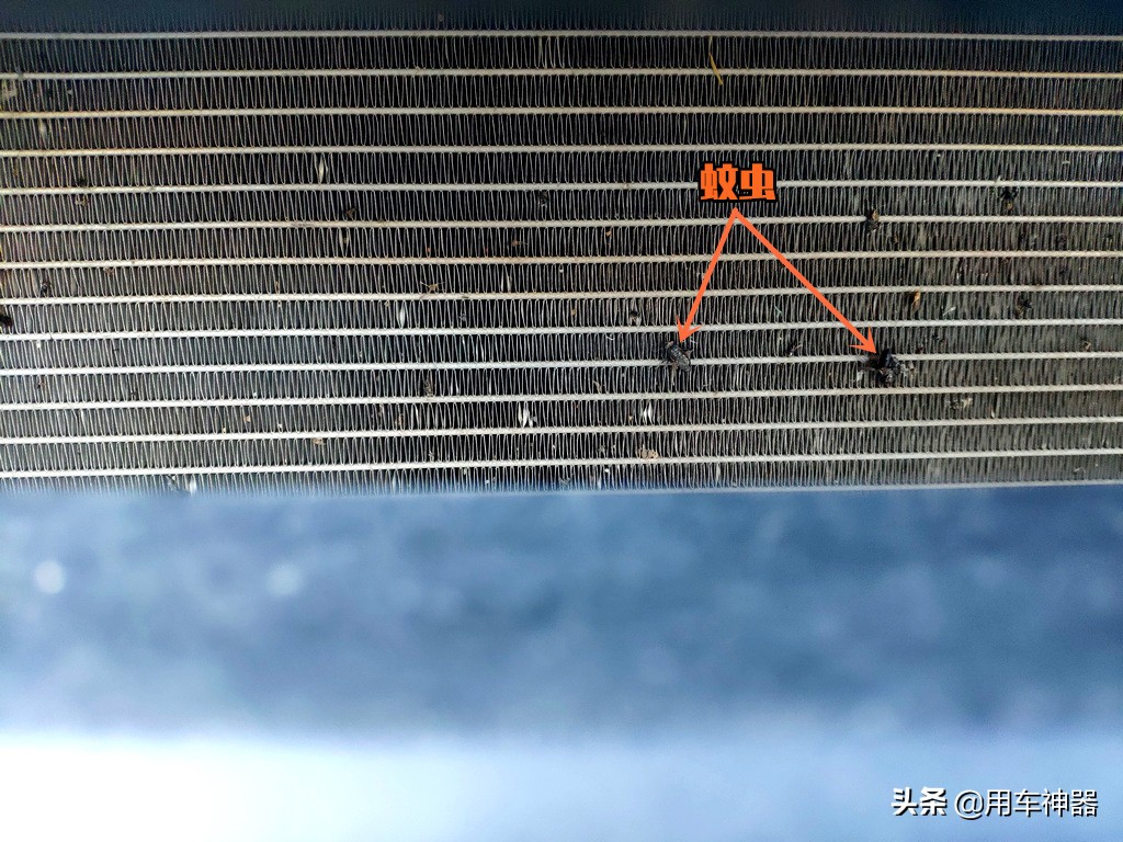 车内最易受潮产生异味的6个地方，用这9个方法不花一分钱就解决