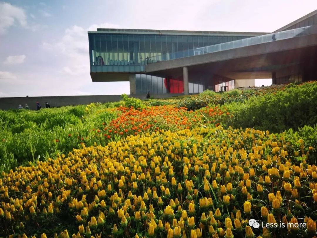 韩国济州岛五天攻略,韩国济州岛旅游详细攻略